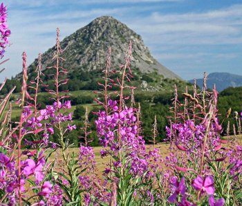 Le Mont Gerbier de Jonc