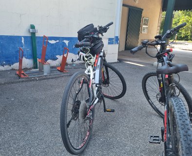 Les loueurs de vélos