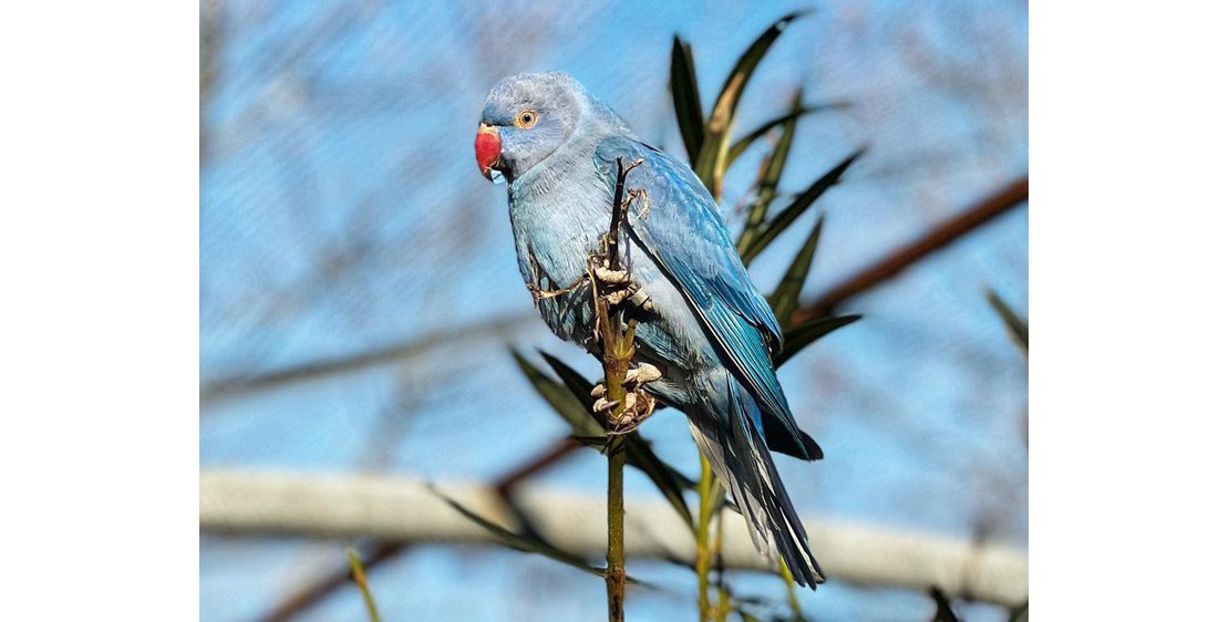 Photo Parc animalier de Lussas