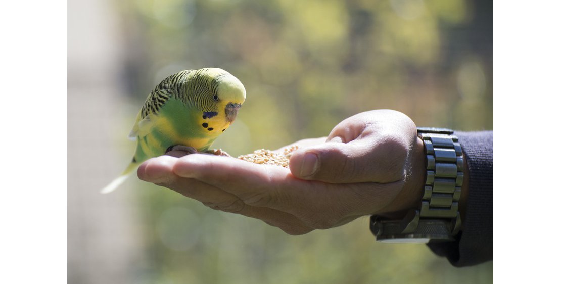 Photo Parc animalier de Lussas