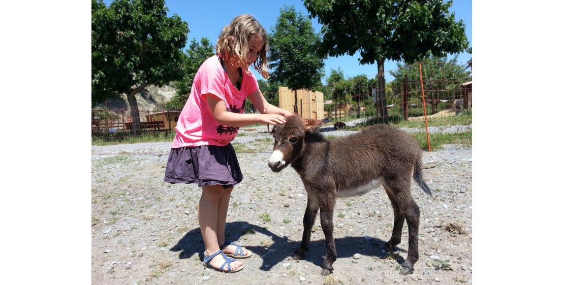 Photo Parc animalier de Lussas