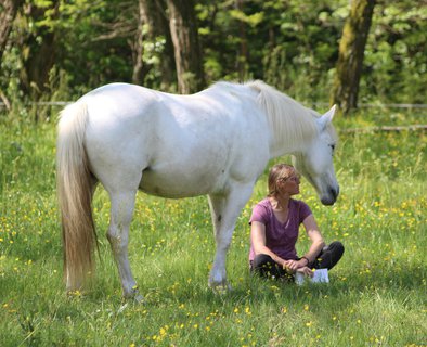 Le Vergier Equestrian Centre