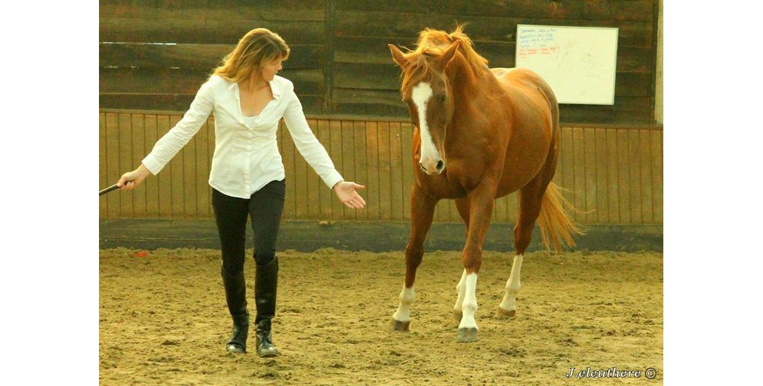 Photo Le Vergier Equestrian Centre