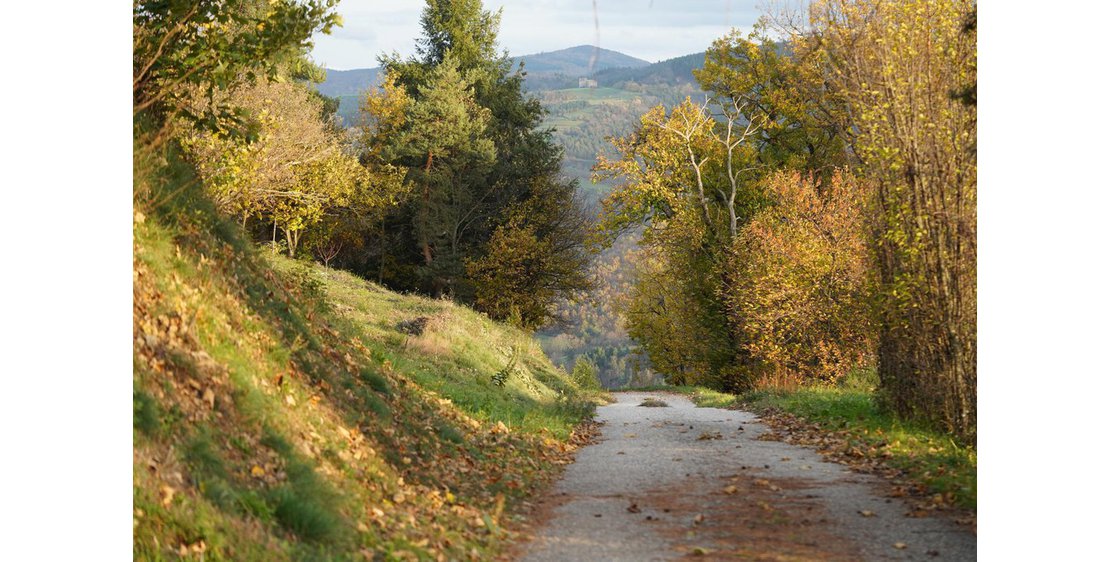 Photo Gîte de l'Escoussenas