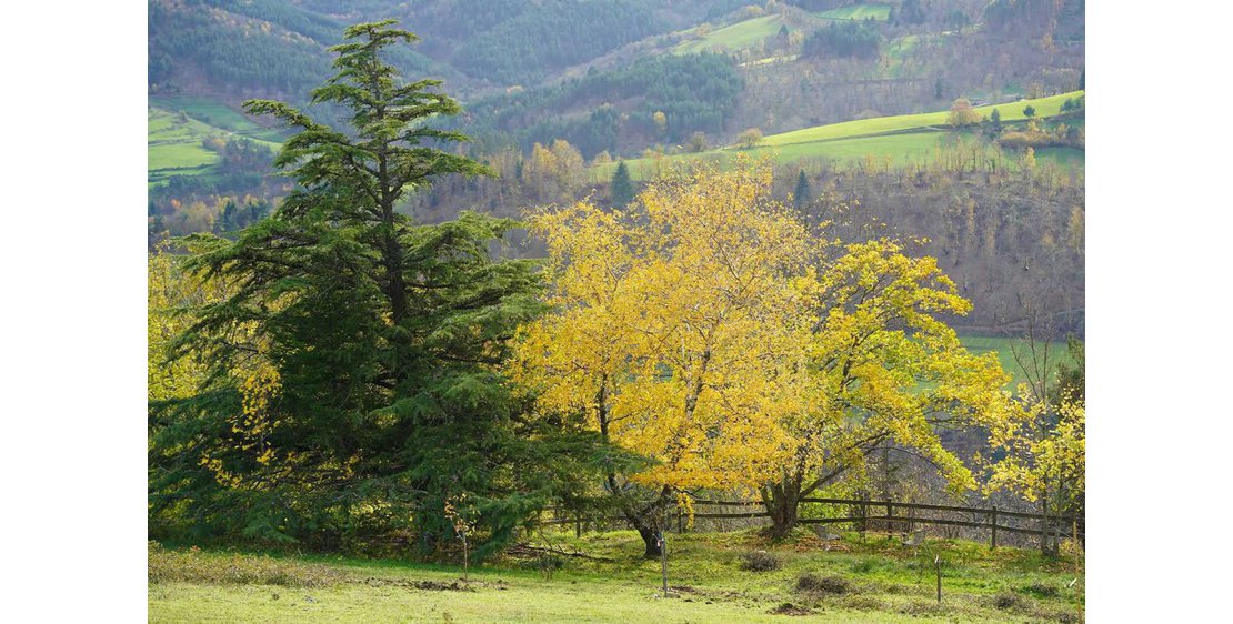 Photo Gîte de l'Escoussenas