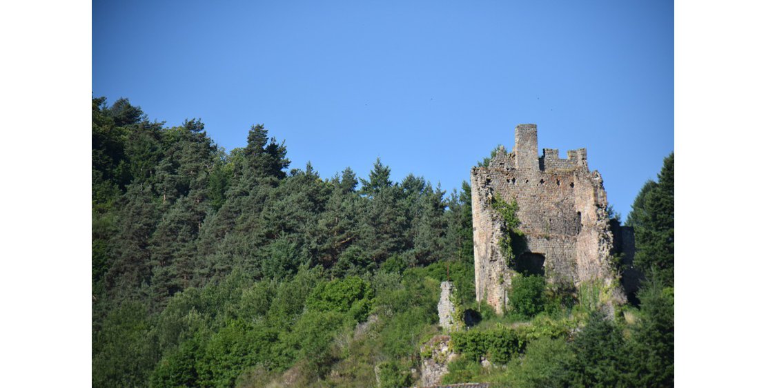 Photo Ruines du château de Peychelard