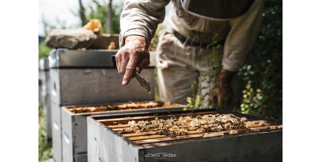Photo Apiculture - L'Abeille du Doux