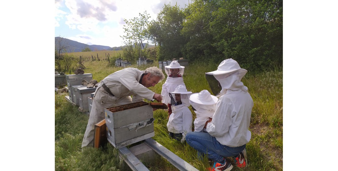 Photo Apiculture - L'Abeille du Doux