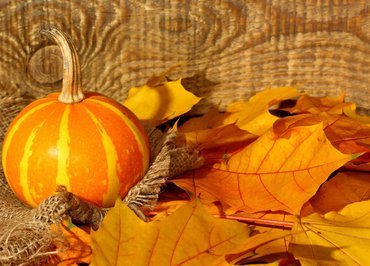 Automnal Gourmand - "Autumn fair"