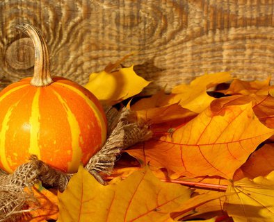 Automnal Gourmand - "Autumn fair"