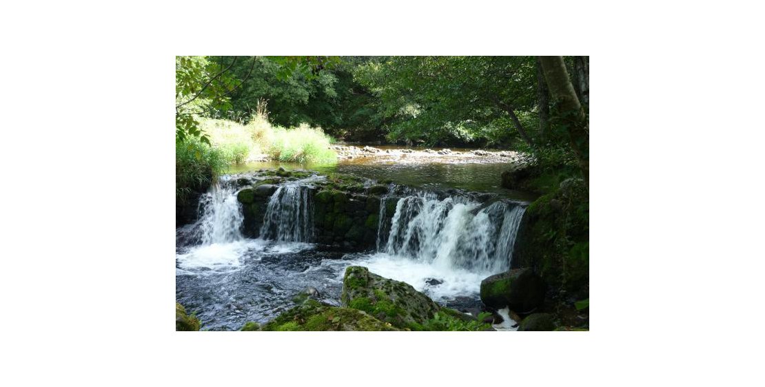 Foto La Petite Maison de Syalles
