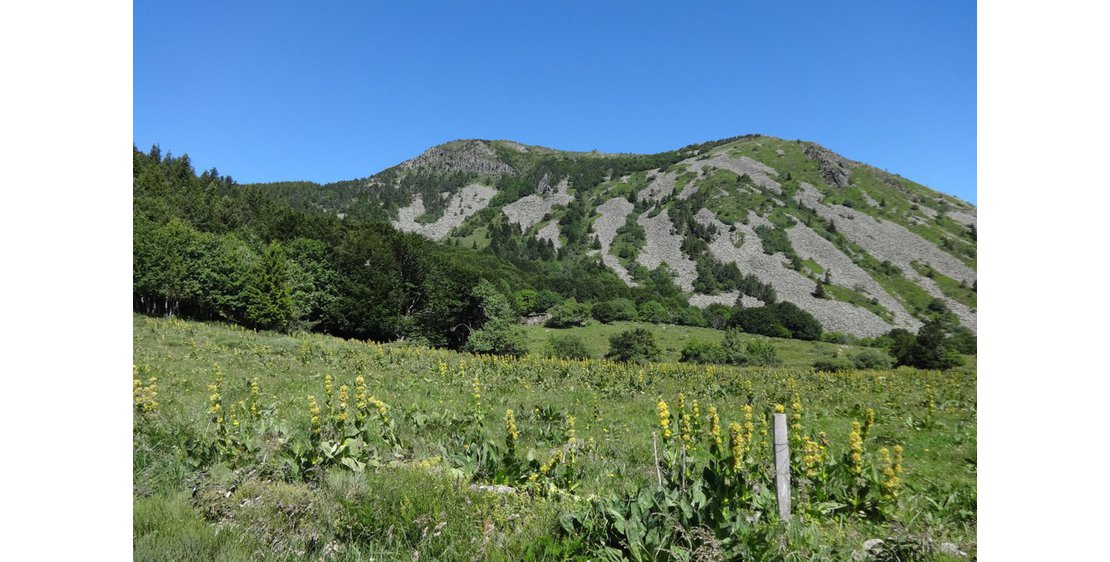 Foto La Petite Maison de Syalles