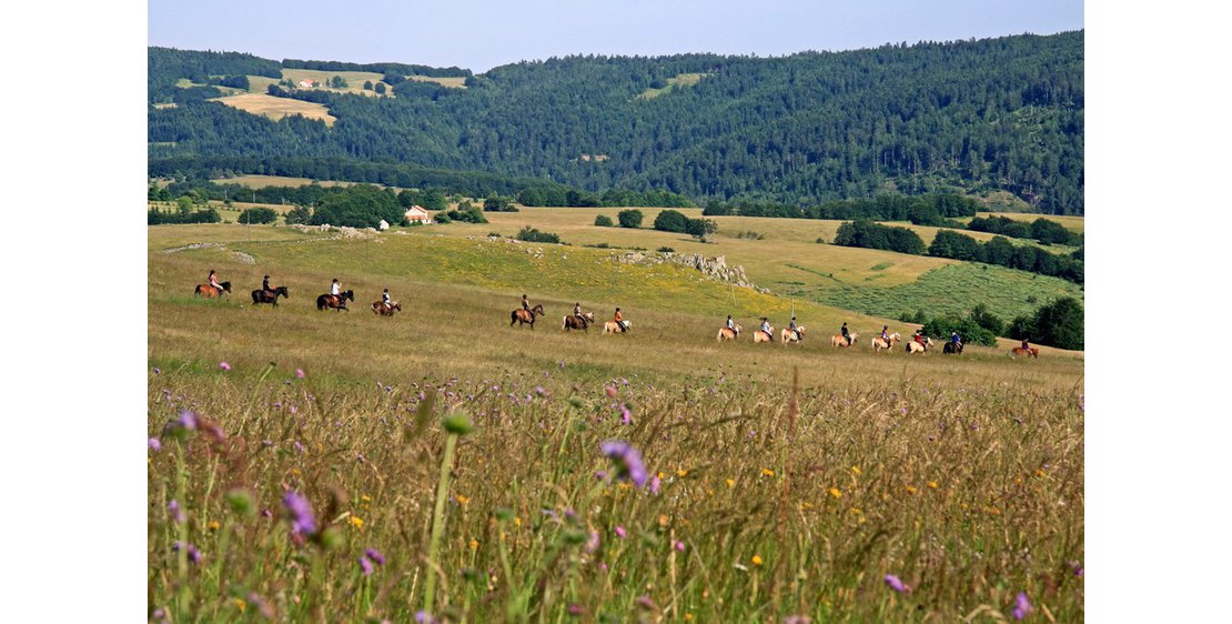 Photo Itinérance équestre dans le Parc Naturel des Monts d'Ardèche