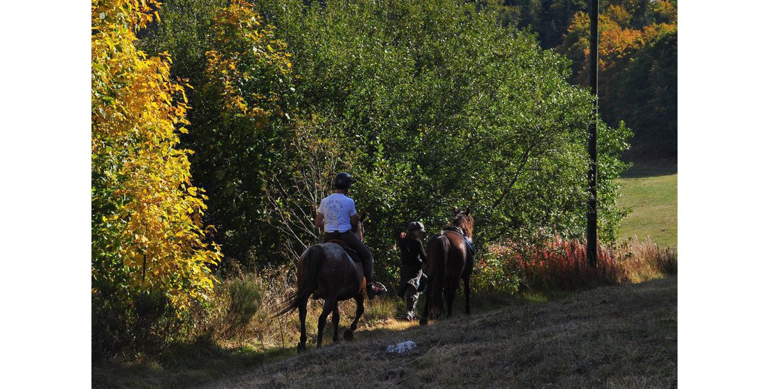 Photo Itinérance équestre dans le Parc Naturel des Monts d'Ardèche