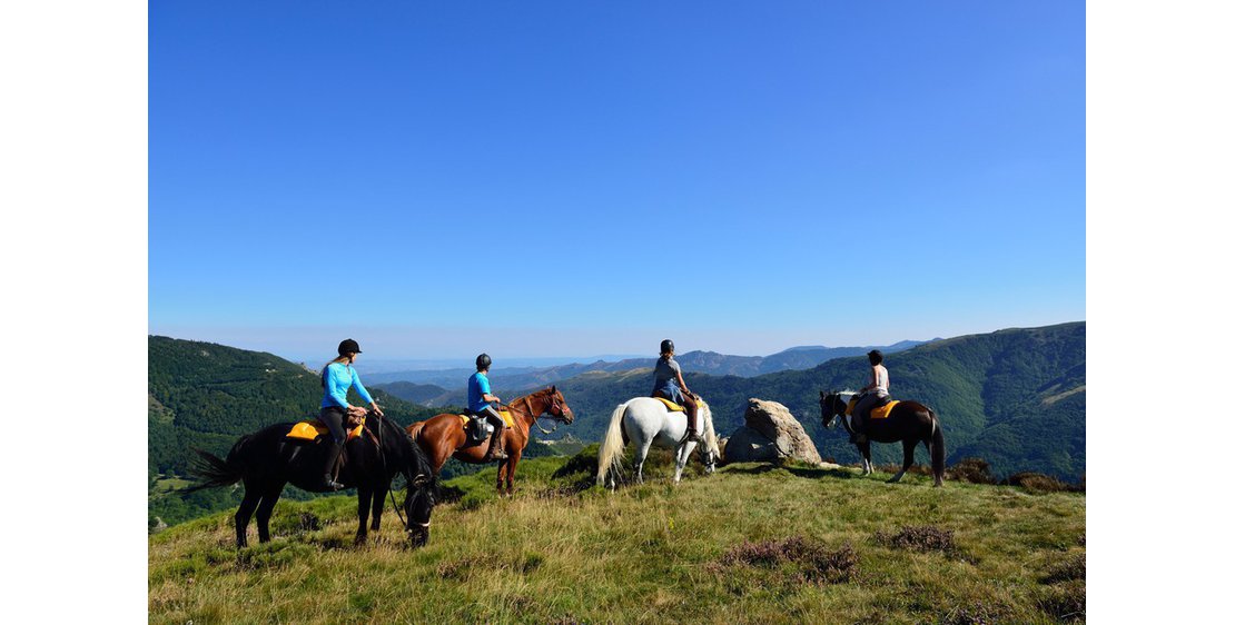 Photo Itinérance équestre dans le Parc Naturel des Monts d'Ardèche