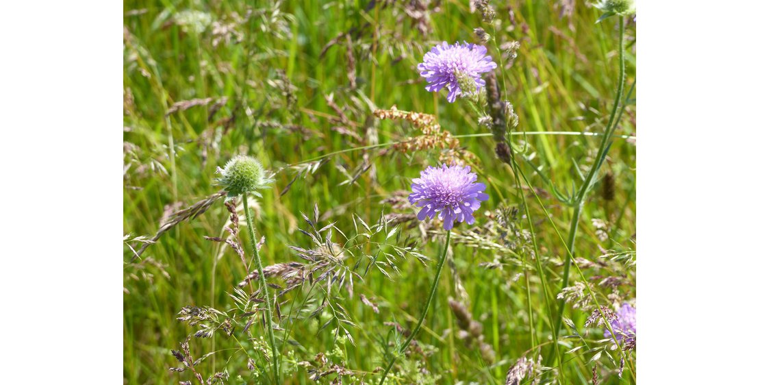 Photo Distillery Tours