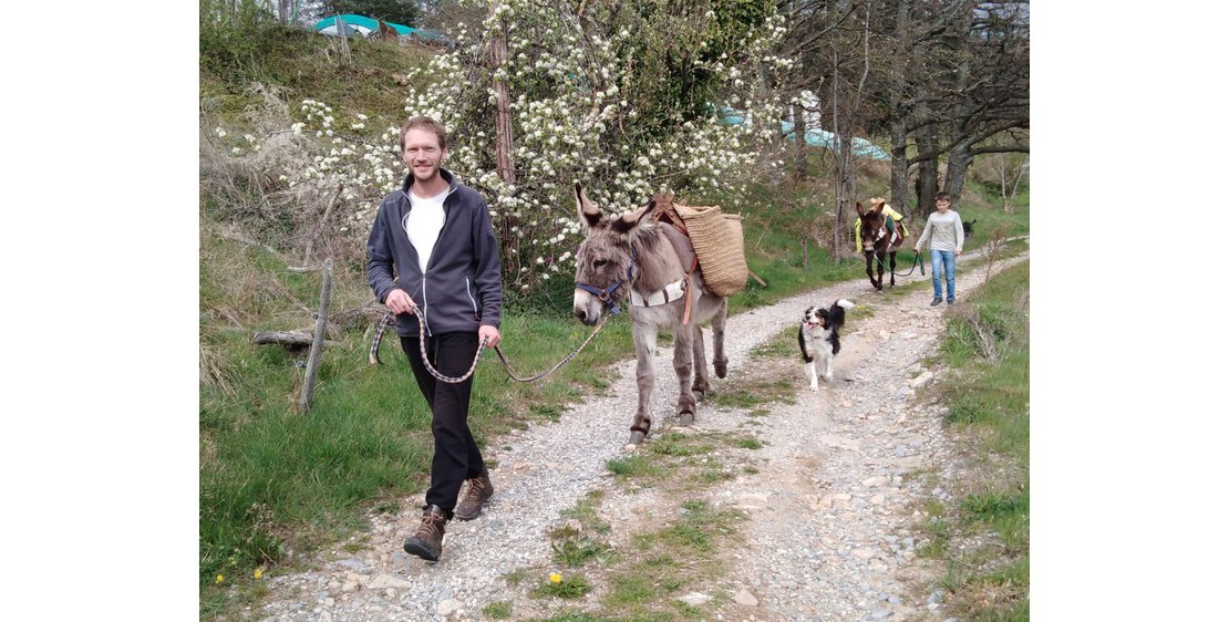 Photo Estelle Brodeur (Ânes sans frontières) - Randonnées avec des ânes bâtés