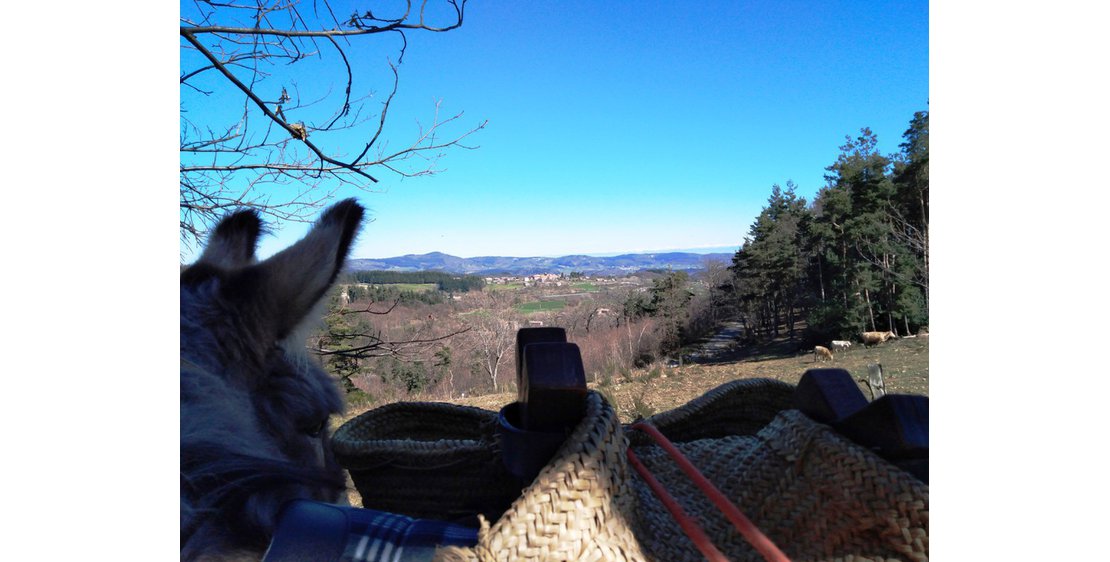 Photo Estelle Brodeur (Ânes sans frontières) - Randonnées avec des ânes bâtés