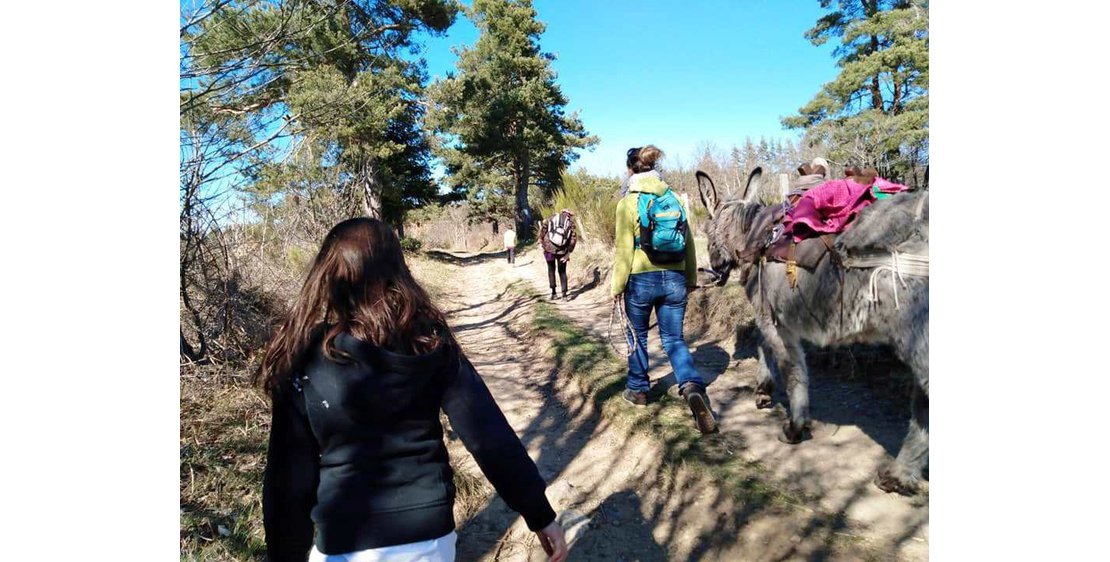 Photo Estelle Brodeur (Ânes sans frontières) - Randonnées avec des ânes bâtés