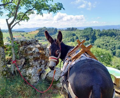 Estelle Brodeur (Ânes sans frontières) - Randonnées avec des ânes bâtés