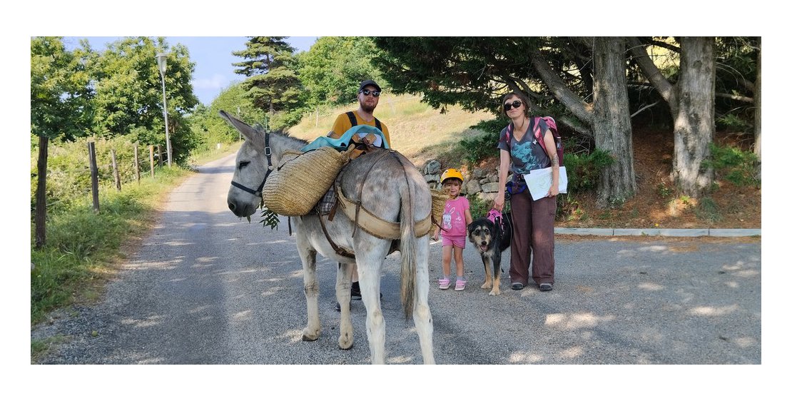 Photo Estelle Brodeur (Ânes sans frontières) - Randonnées avec des ânes bâtés