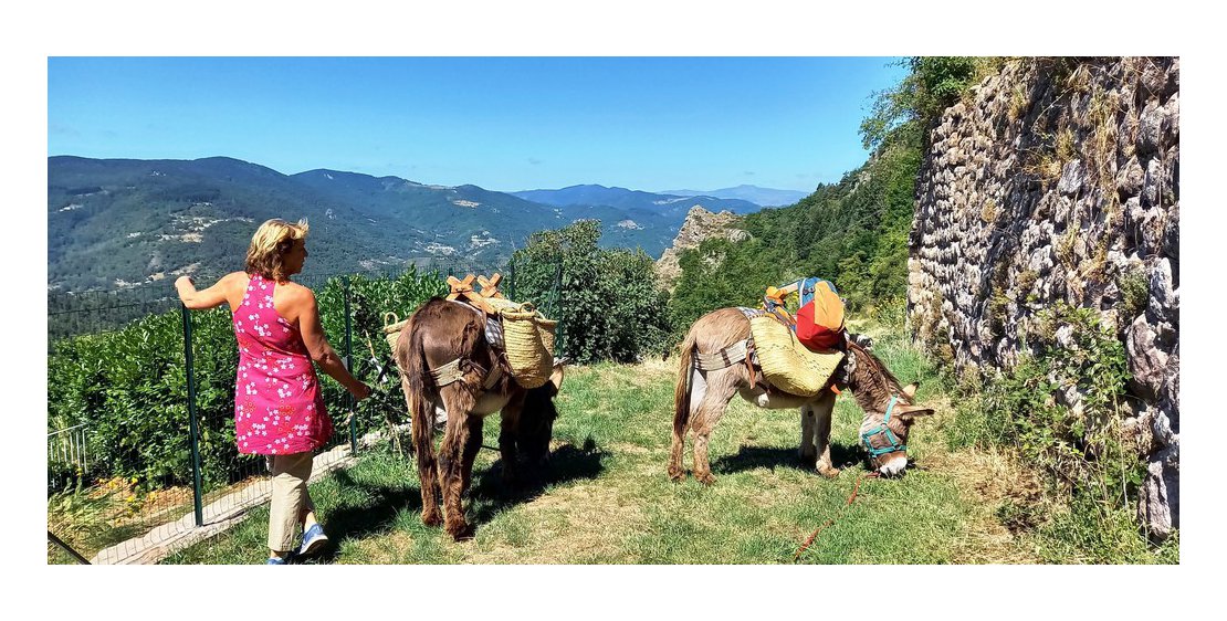 Photo Estelle Brodeur (Ânes sans frontières) - Randonnées avec des ânes bâtés