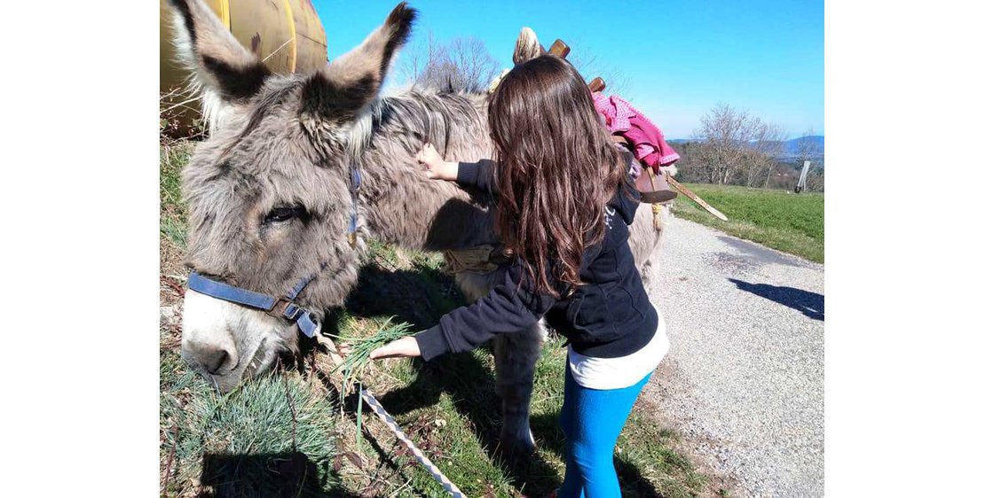 Photo Ânes sans frontières - hikes with donkeys