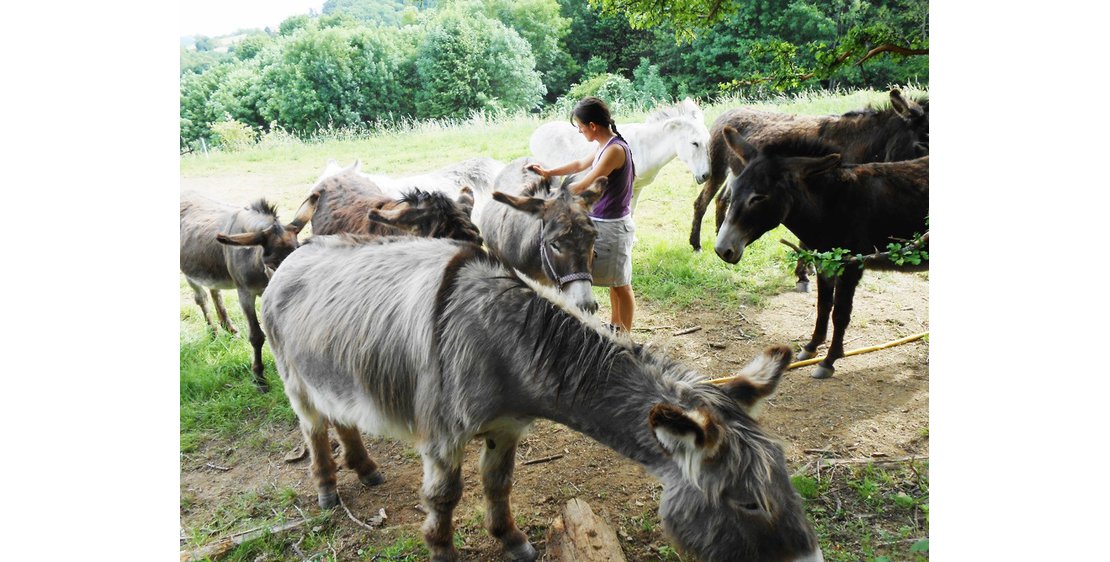 Photo Ânes sans frontières - randonnées avec des ânes bâtés