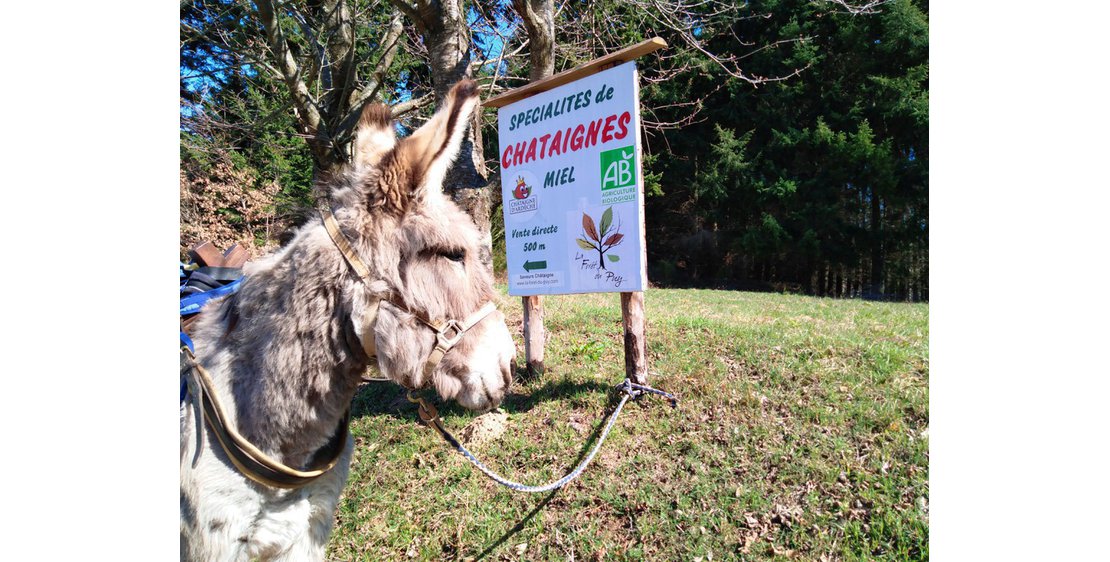 Photo Ânes sans frontières - hikes with donkeys