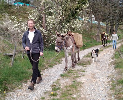 Ânes sans frontières - hikes with donkeys