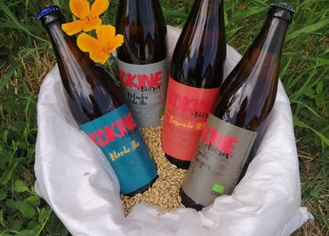 Visite commentée - "Brasserie Kokine Bières"