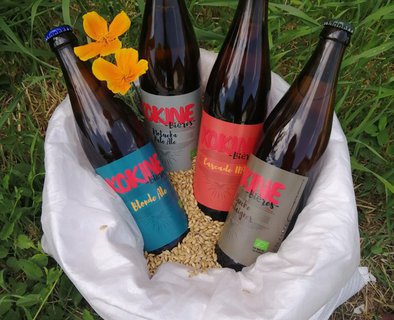 Visite commentée - "Brasserie Kokine Bières"