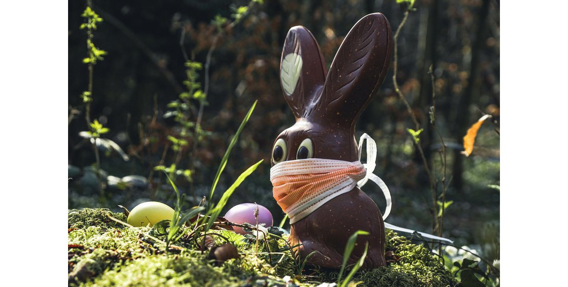 Photo Chasse aux oeufs