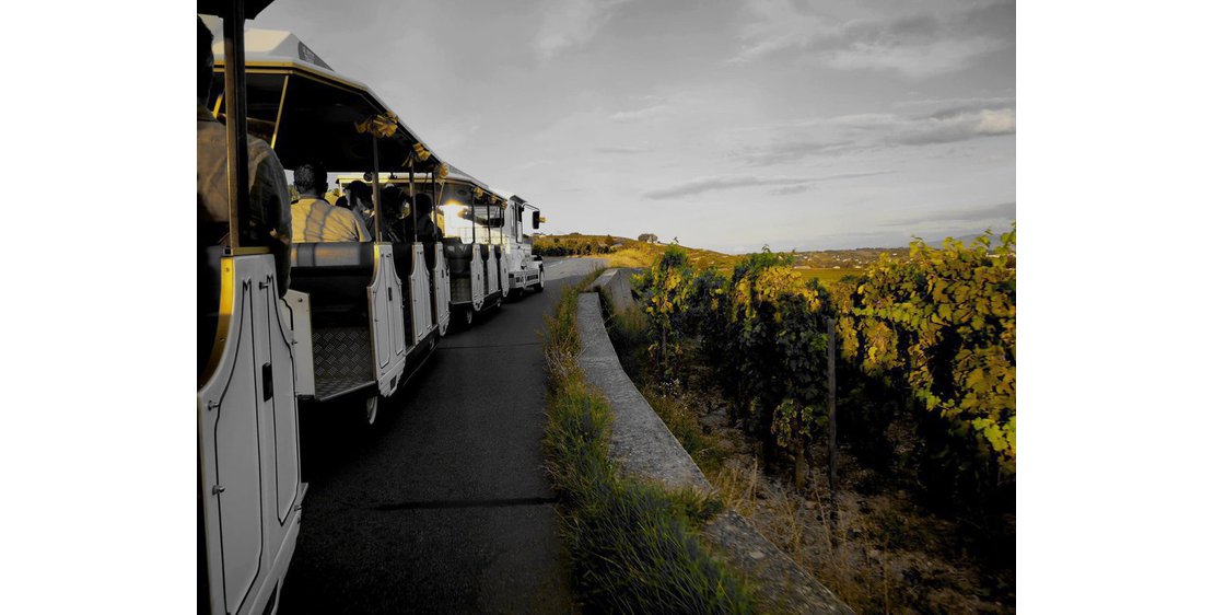 Photo Road train in the Hermitage vineyards