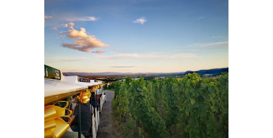 Photo Road train in the Hermitage vineyards