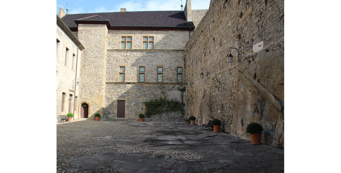 Photo Castle of  Tournon sur Rhône