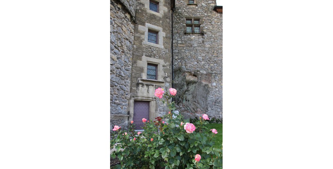 Foto Kasteelmuseum van Tournon sur Rhône