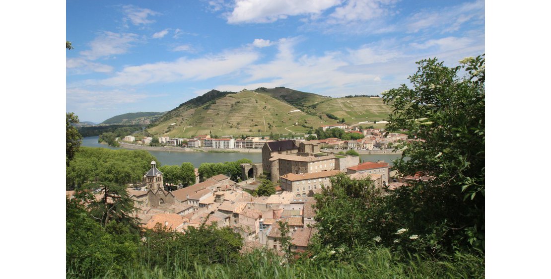 Photo Castle of  Tournon sur Rhône
