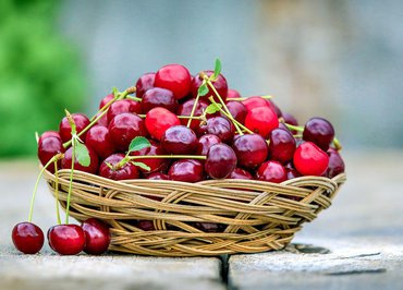 Cherry Day
