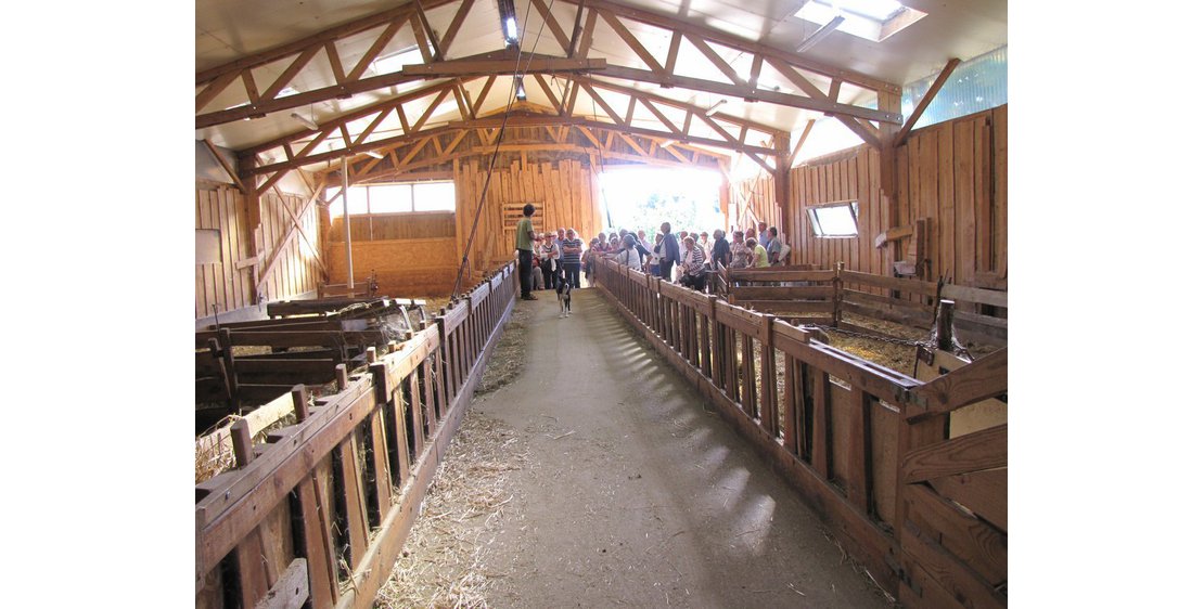 Photo Visite à la ferme, démonstration de chiens de troupeaux - "Les Bergers des Chaupous"