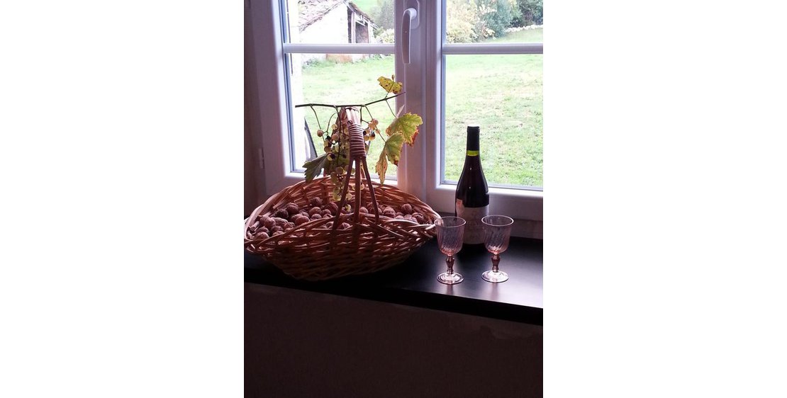 Photo La maison des Badons - Le châtaignier et les Mûriers