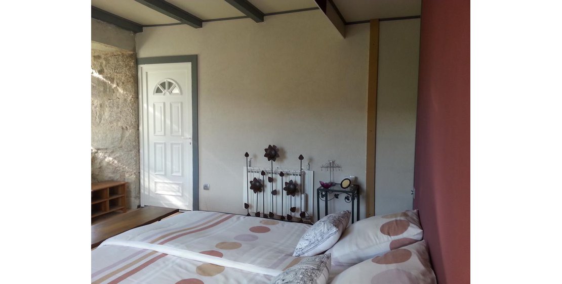 Photo La maison des Badons - Le châtaignier et les Mûriers