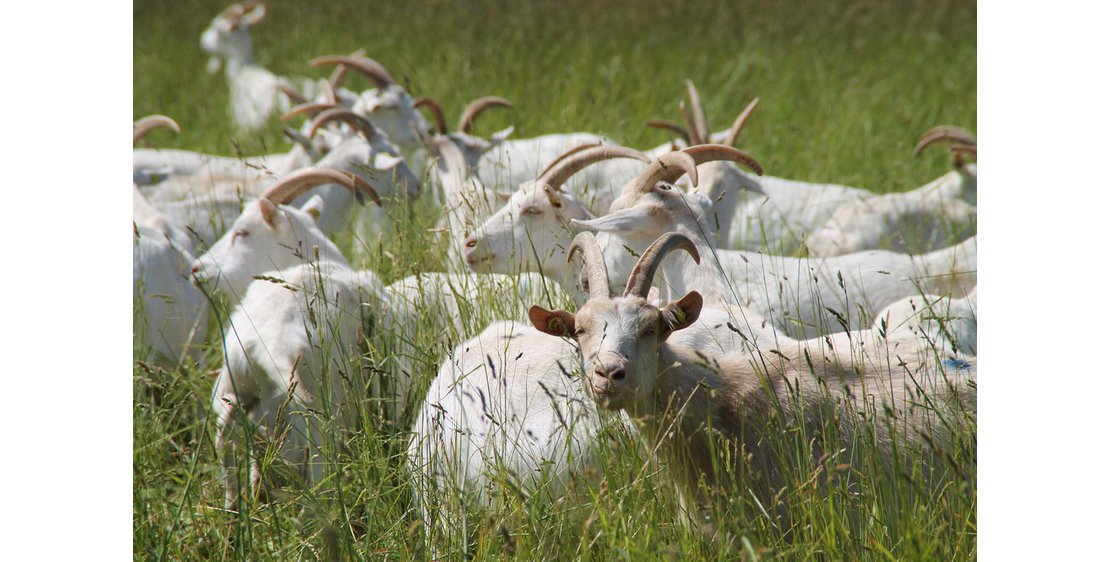 Photo Ferme du Chant du Riou