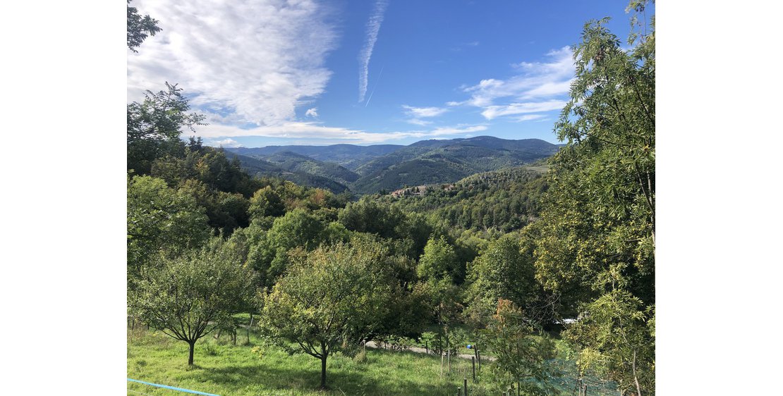 Photo Cabane Par les monts étoilés