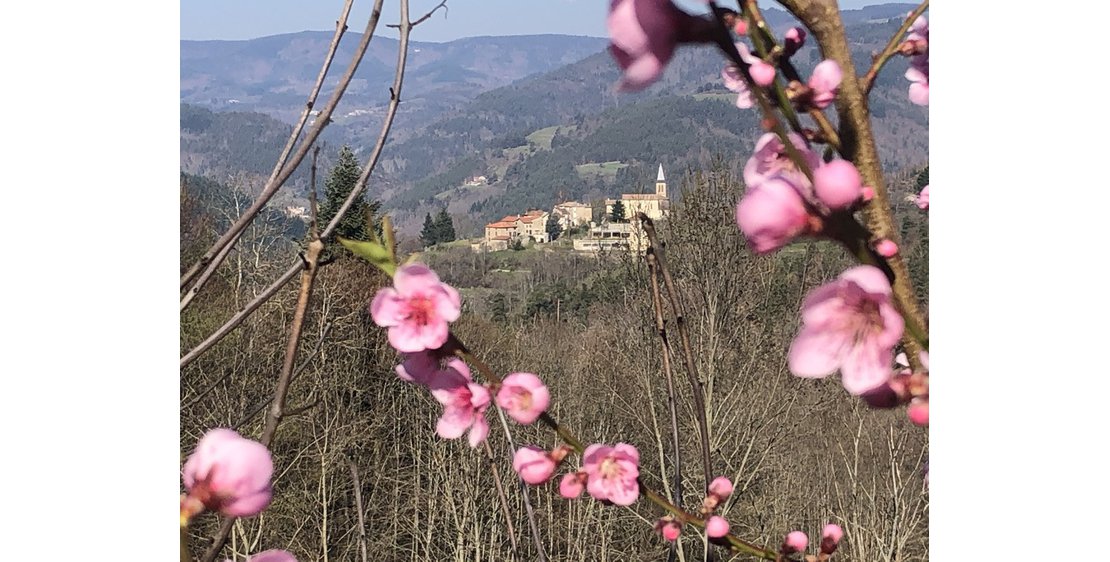 Photo Cabane Par les monts étoilés