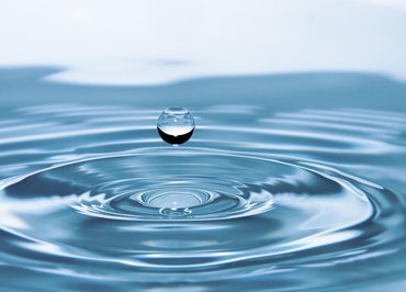 Exposition  - "L'eau et la vie"