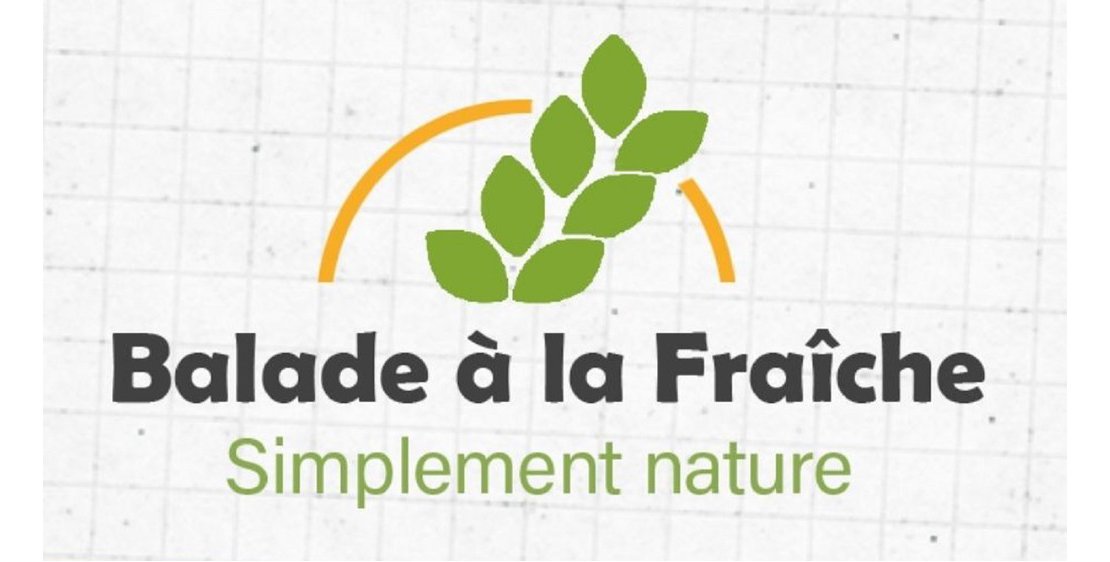 Photo Balade à la fraîche - "Des plantes aux arbres ou les supers-pouvoirs du règne végétal !"
