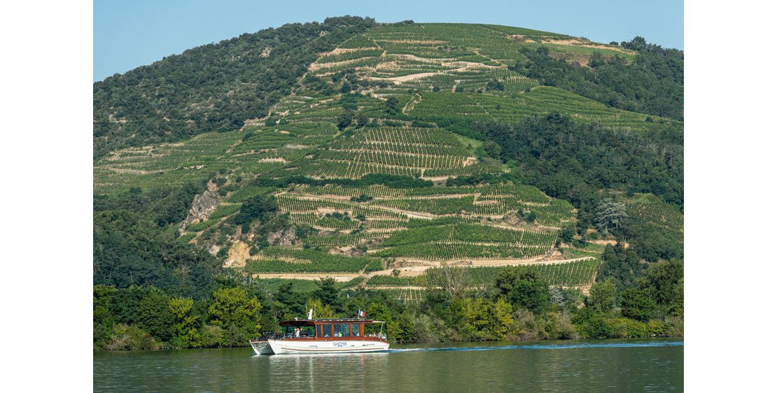 Foto Touring the Rhône and Eyrieux valleys from Tournon