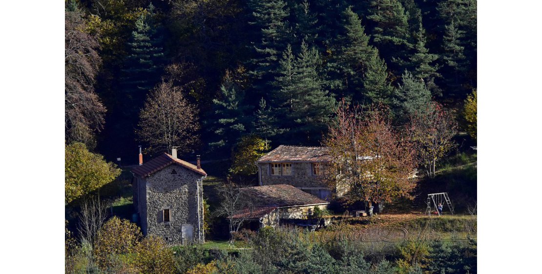Photo Domaine des Blaches - La Blache