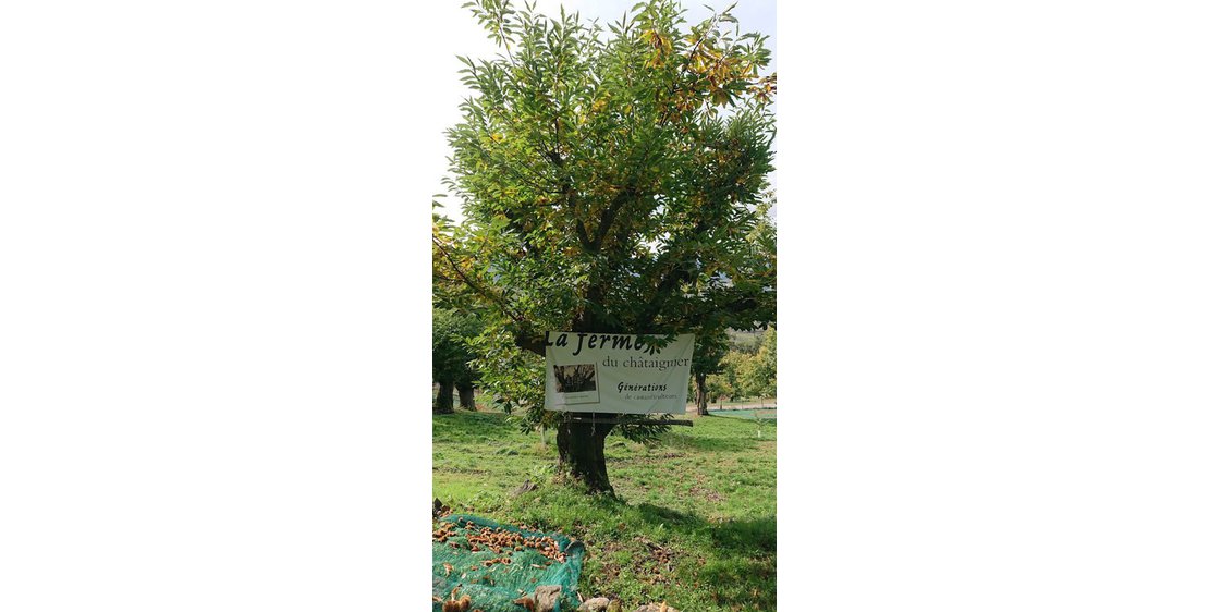 Photo La ferme du châtaignier